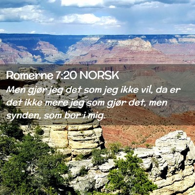 Picture 02 - Romerne 7:20 NORSK - Men gjør jeg det som jeg ikke vil, da er det - Bible Verse Picture