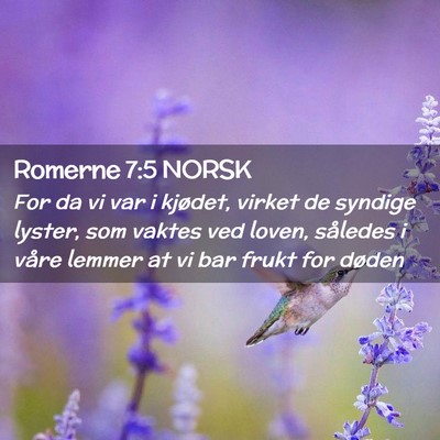 Picture 02 - Romerne 7:5 NORSK - For da vi var i kjødet, virket de syndige - Bible Verse Picture