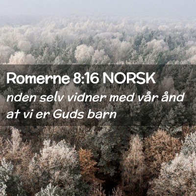 Picture 02 - Romerne 8:16 NORSK - nden selv vidner med vår ånd at vi er Guds - Bible Verse Picture