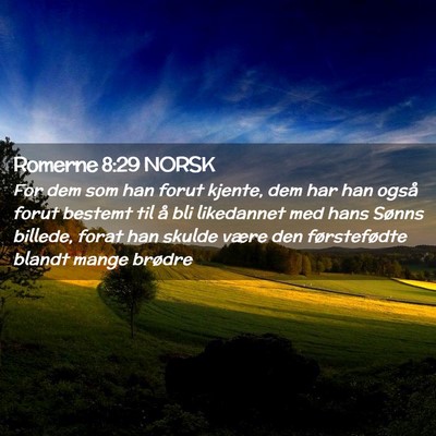 Picture 02 - Romerne 8:29 NORSK - For dem som han forut kjente, dem har han også - Bible Verse Picture