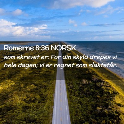 Picture 02 - Romerne 8:36 NORSK - som skrevet er: For din skyld drepes vi hele - Bible Verse Picture
