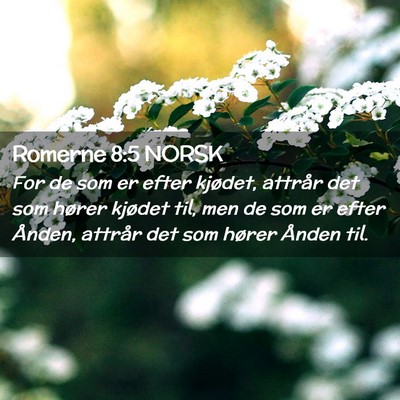 Picture 02 - Romerne 8:5 NORSK - For de som er efter kjødet, attrår det som - Bible Verse Picture
