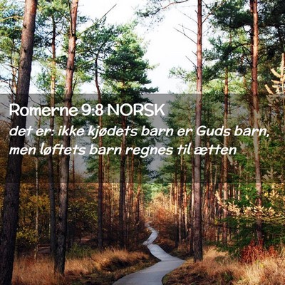 Picture 02 - Romerne 9:8 NORSK - det er: ikke kjødets barn er Guds barn, men - Bible Verse Picture