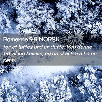 Picture 02 - Romerne 9:9 NORSK - for et løftes ord er dette: Ved denne tid vil - Bible Verse Picture