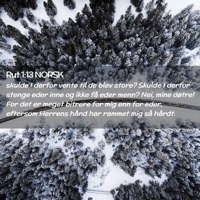 Picture 02 - Rut 1:13 NORSK - skulde I derfor vente til de blev store? Skulde I - Bible Verse Picture