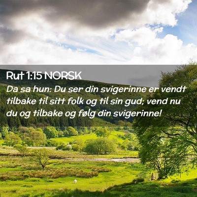 Picture 02 - Rut 1:15 NORSK - Da sa hun: Du ser din svigerinne er vendt tilbake - Bible Verse Picture
