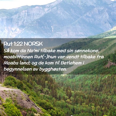 Picture 02 - Rut 1:22 NORSK - Så kom da No'mi tilbake med sin sønnekone, - Bible Verse Picture