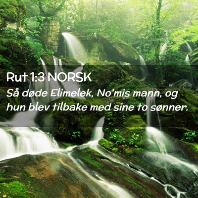 Picture 02 - Rut 1:3 NORSK - Så døde Elimelek, No'mis mann, og hun blev - Bible Verse Picture