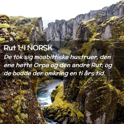 Picture 02 - Rut 1:4 NORSK - De tok sig moabittiske hustruer, den ene hette - Bible Verse Picture