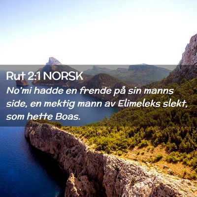 Picture 02 - Rut 2:1 NORSK - No'mi hadde en frende på sin manns side, en - Bible Verse Picture