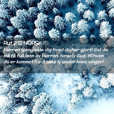 Picture 02 - Rut 2:12 NORSK - Herren gjengjelde dig hvad du har gjort! Gid du - Bible Verse Picture