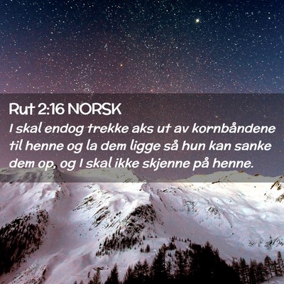 Picture 02 - Rut 2:16 NORSK - I skal endog trekke aks ut av kornbåndene til - Bible Verse Picture