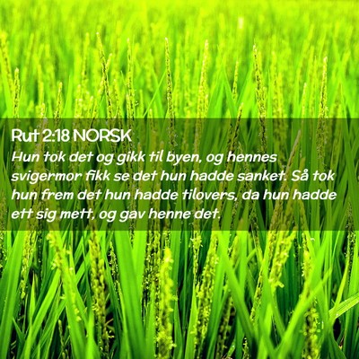 Picture 02 - Rut 2:18 NORSK - Hun tok det og gikk til byen, og hennes svigermor - Bible Verse Picture