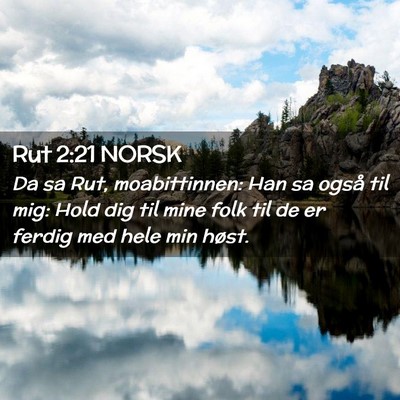 Picture 02 - Rut 2:21 NORSK - Da sa Rut, moabittinnen: Han sa også til mig: - Bible Verse Picture