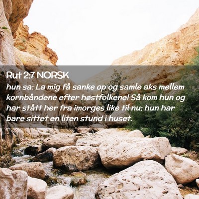 Picture 02 - Rut 2:7 NORSK - hun sa: La mig få sanke op og samle aks mellem - Bible Verse Picture