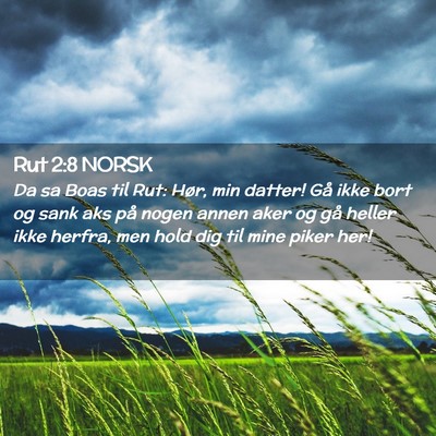 Picture 02 - Rut 2:8 NORSK - Da sa Boas til Rut: Hør, min datter! Gå ikke - Bible Verse Picture