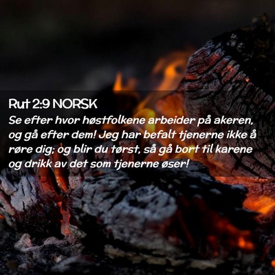 Picture 02 - Rut 2:9 NORSK - Se efter hvor høstfolkene arbeider på akeren, - Bible Verse Picture