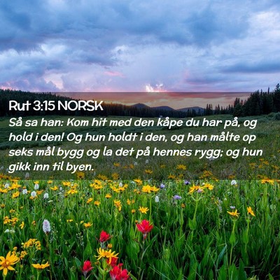 Picture 02 - Rut 3:15 NORSK - Så sa han: Kom hit med den kåpe du har på, og - Bible Verse Picture