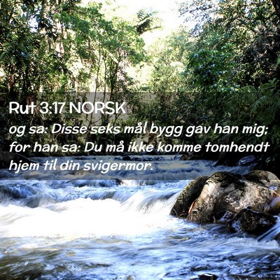 Picture 02 - Rut 3:17 NORSK - og sa: Disse seks mål bygg gav han mig; for han - Bible Verse Picture