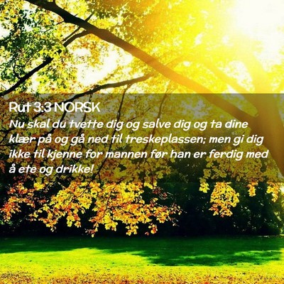 Picture 02 - Rut 3:3 NORSK - Nu skal du tvette dig og salve dig og ta dine - Bible Verse Picture
