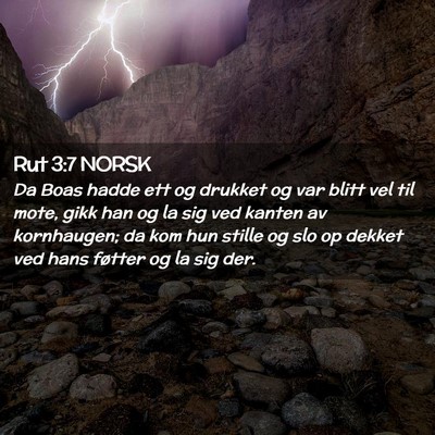 Picture 02 - Rut 3:7 NORSK - Da Boas hadde ett og drukket og var blitt vel til - Bible Verse Picture