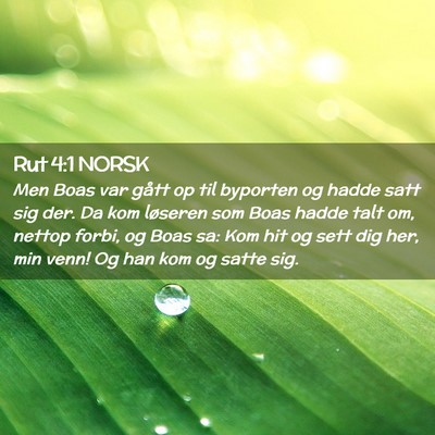 Picture 02 - Rut 4:1 NORSK - Men Boas var gått op til byporten og hadde satt - Bible Verse Picture