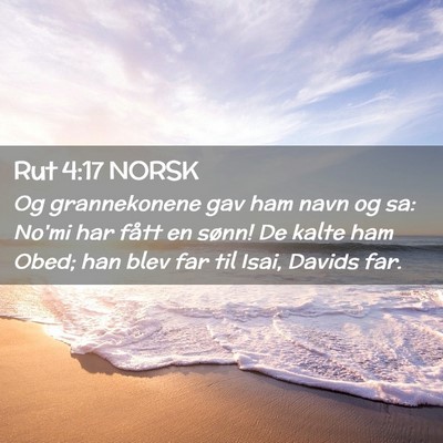 Picture 02 - Rut 4:17 NORSK - Og grannekonene gav ham navn og sa: No'mi har - Bible Verse Picture