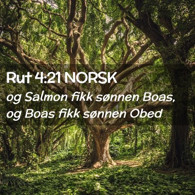Picture 02 - Rut 4:21 NORSK - og Salmon fikk sønnen Boas, og Boas fikk sønnen - Bible Verse Picture