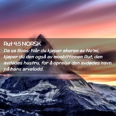 Picture 02 - Rut 4:5 NORSK - Da sa Boas: Når du kjøper akeren av No'mi, - Bible Verse Picture