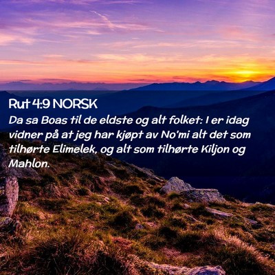 Picture 02 - Rut 4:9 NORSK - Da sa Boas til de eldste og alt folket: I er idag - Bible Verse Picture