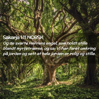 Picture 02 - Sakarja 1:11 NORSK - Og de svarte Herrens engel, som holdt stille - Bible Verse Picture
