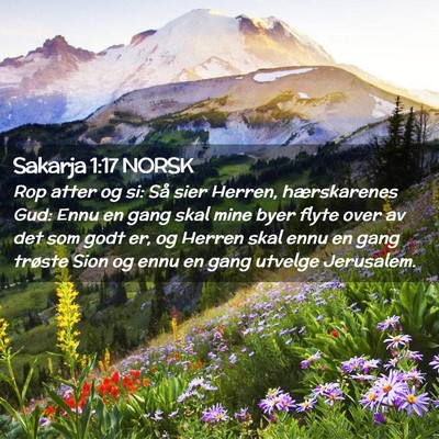 Picture 02 - Sakarja 1:17 NORSK - Rop atter og si: Så sier Herren, hærskarenes - Bible Verse Picture