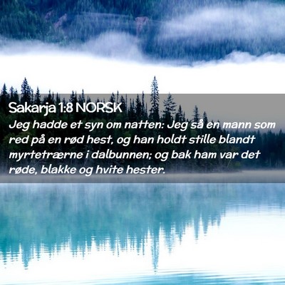 Picture 02 - Sakarja 1:8 NORSK - Jeg hadde et syn om natten: Jeg så en mann som - Bible Verse Picture