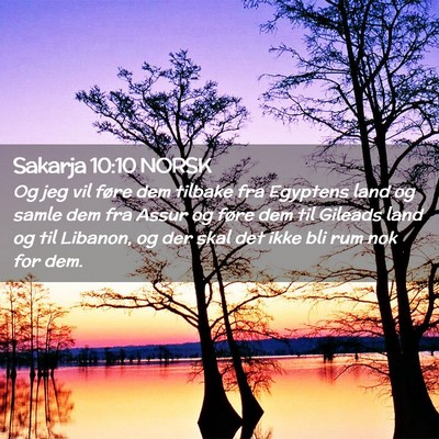 Picture 02 - Sakarja 10:10 NORSK - Og jeg vil føre dem tilbake fra Egyptens land og - Bible Verse Picture
