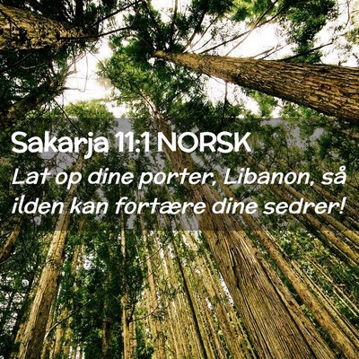 Picture 02 - Sakarja 11:1 NORSK - Lat op dine porter, Libanon, så ilden kan - Bible Verse Picture