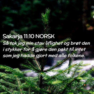 Picture 02 - Sakarja 11:10 NORSK - Så tok jeg min stav liflighet og brøt den i - Bible Verse Picture