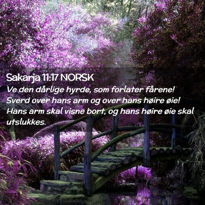 Picture 02 - Sakarja 11:17 NORSK - Ve den dårlige hyrde, som forlater fårene! - Bible Verse Picture