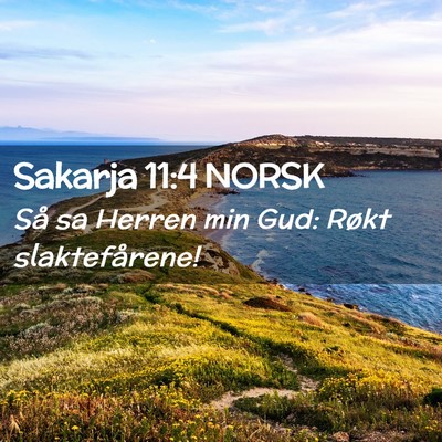 Picture 02 - Sakarja 11:4 NORSK - Så sa Herren min Gud: Røkt - Bible Verse Picture