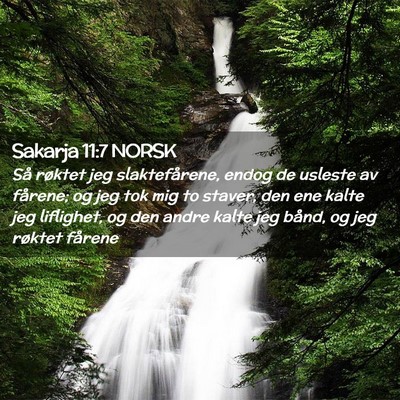 Picture 02 - Sakarja 11:7 NORSK - Så røktet jeg slaktefårene, endog de usleste - Bible Verse Picture