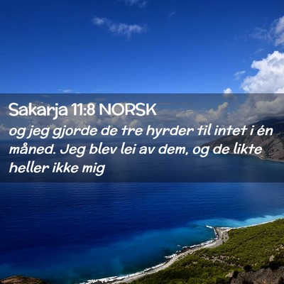Picture 02 - Sakarja 11:8 NORSK - og jeg gjorde de tre hyrder til intet i én - Bible Verse Picture