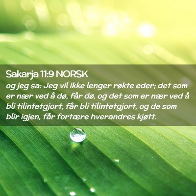 Picture 02 - Sakarja 11:9 NORSK - og jeg sa: Jeg vil ikke lenger røkte eder; det - Bible Verse Picture