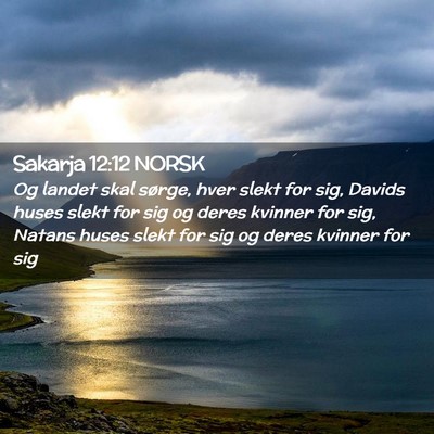 Picture 02 - Sakarja 12:12 NORSK - Og landet skal sørge, hver slekt for sig, Davids - Bible Verse Picture