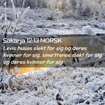 Picture 02 - Sakarja 12:13 NORSK - Levis huses slekt for sig og deres kvinner for - Bible Verse Picture
