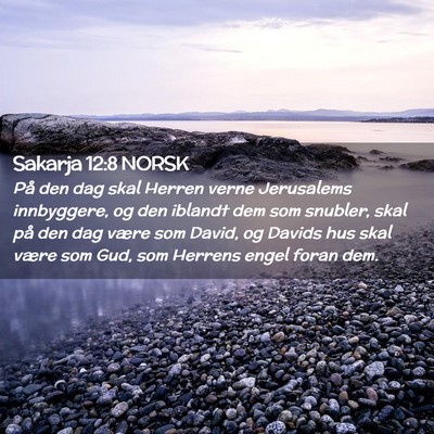 Picture 02 - Sakarja 12:8 NORSK - På den dag skal Herren verne Jerusalems - Bible Verse Picture