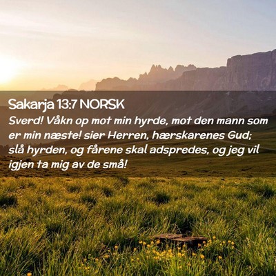 Picture 02 - Sakarja 13:7 NORSK - Sverd! Våkn op mot min hyrde, mot den mann som - Bible Verse Picture