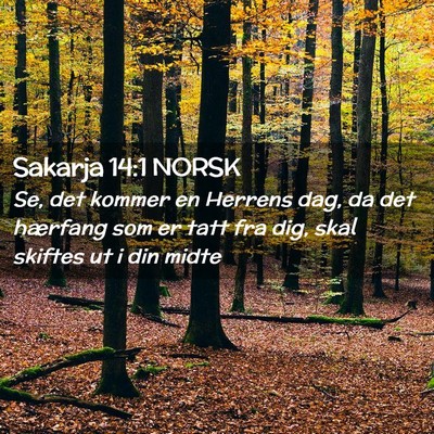 Picture 02 - Sakarja 14:1 NORSK - Se, det kommer en Herrens dag, da det hærfang - Bible Verse Picture
