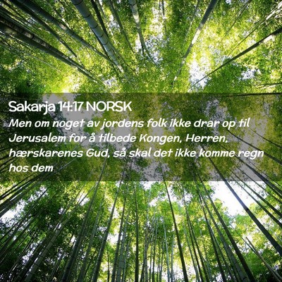 Picture 02 - Sakarja 14:17 NORSK - Men om noget av jordens folk ikke drar op til - Bible Verse Picture