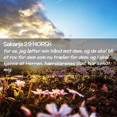 Picture 02 - Sakarja 2:9 NORSK - for se, jeg løfter min hånd mot dem, og de skal - Bible Verse Picture