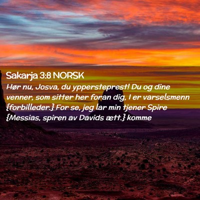 Picture 02 - Sakarja 3:8 NORSK - Hør nu, Josva, du yppersteprest! Du og dine - Bible Verse Picture