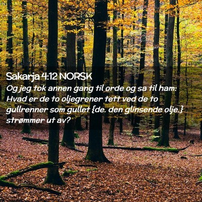 Picture 02 - Sakarja 4:12 NORSK - Og jeg tok annen gang til orde og sa til ham: - Bible Verse Picture